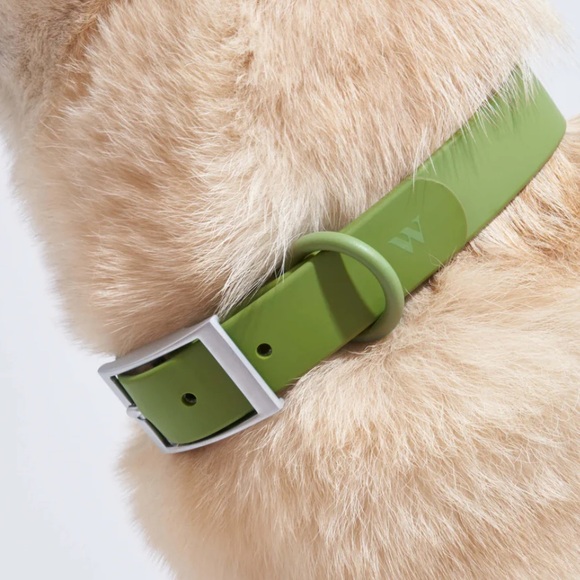 Wild One Dog Collar - XL (18-23") - Moss Green - Picture 10 of 16